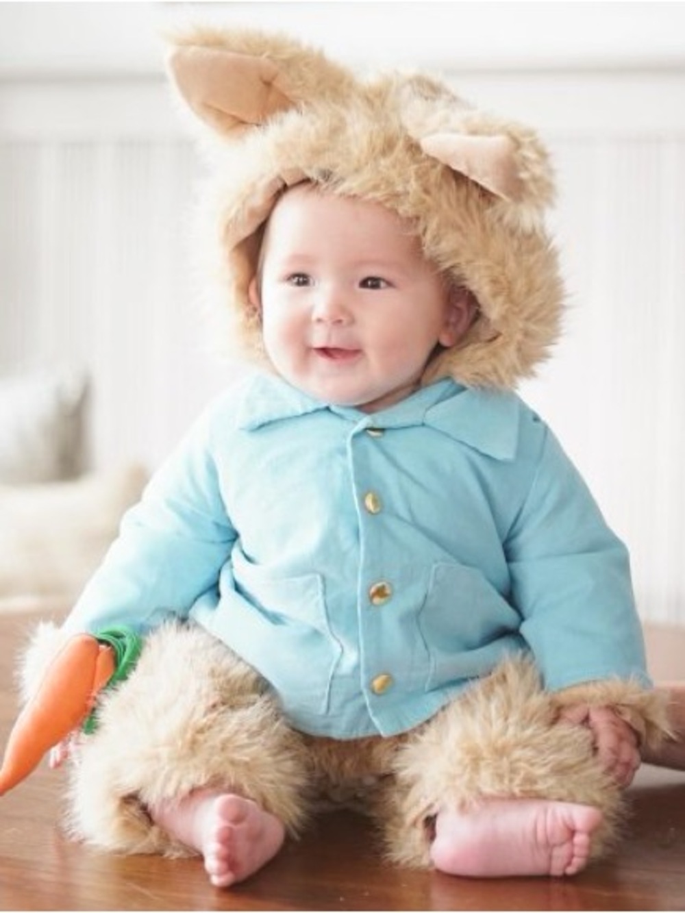 Pottery Barn PETER RABBIT costume